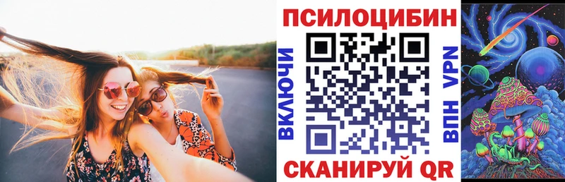 Галлюциногенные грибы Cubensis  Гатчина 